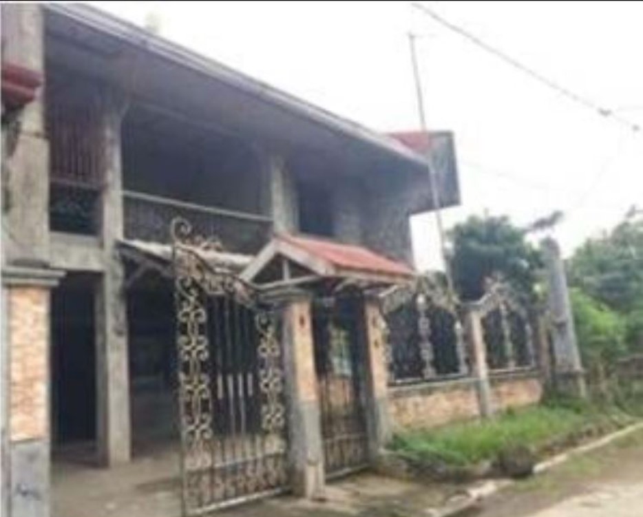 Foreclosed Property for sale in Villa Adelina Subdivision Ph3, Brgy. Sta. Clara/Bulilan Sur, Pila, Laguna - Media Image Asset Panel Sub-No 3