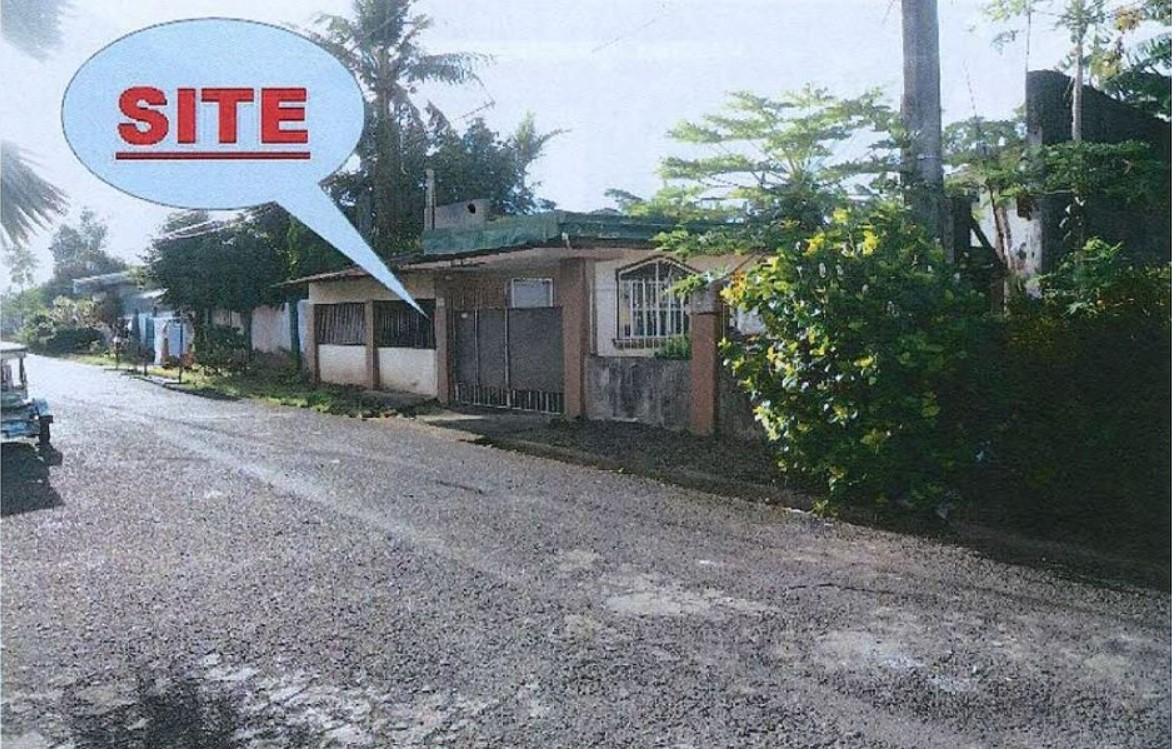 Foreclosed Property for sale in El Rey Subdivision, Brgy. Duhat, Sta. Cruz, Laguna - Media Image Asset Panel Sub-No 2