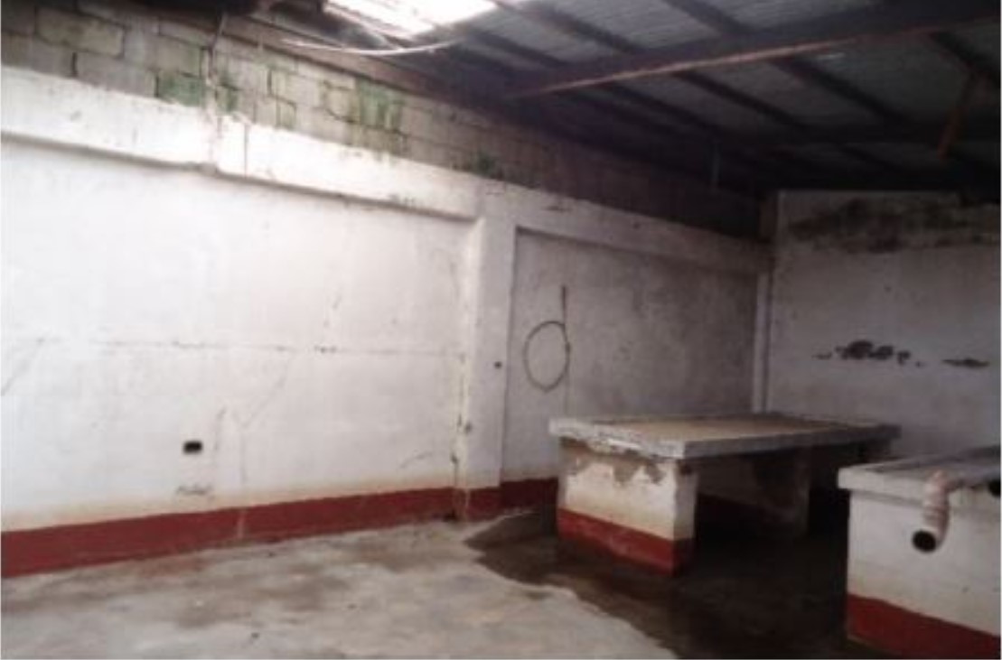 Foreclosed Property for sale in Brgy. Santisima, Sta. Cruz, Laguna  - Media Image Asset Panel Sub-No 11