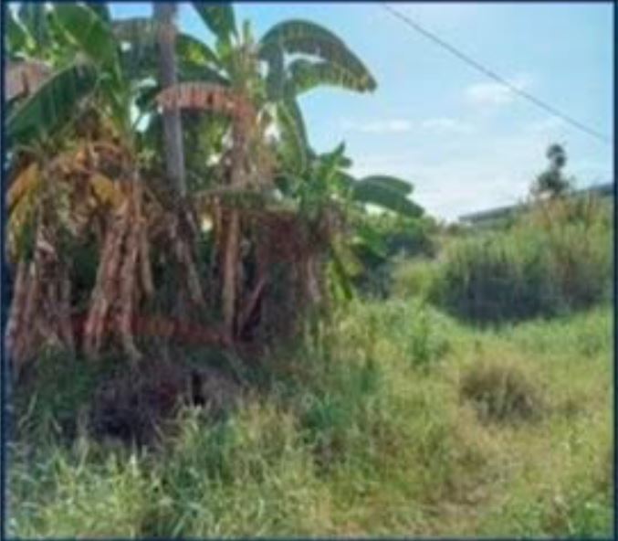 Foreclosed Property for sale in MONSERATT SUBD. BRGY. CALLOS STO. ANGEL NORTE, STA CRUZ, LAGUNA - Media Image Asset Panel Sub-No 2