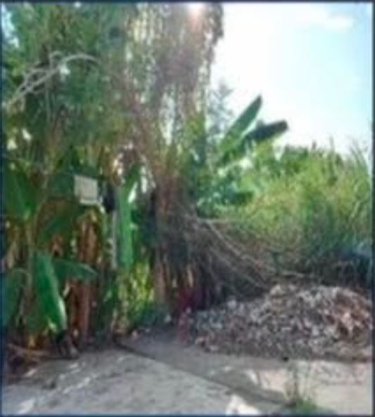 Foreclosed Property for sale in MONSERATT SUBD. BRGY. CALLOS STO. ANGEL NORTE, STA CRUZ, LAGUNA - Media Image Asset Panel Sub-No 3
