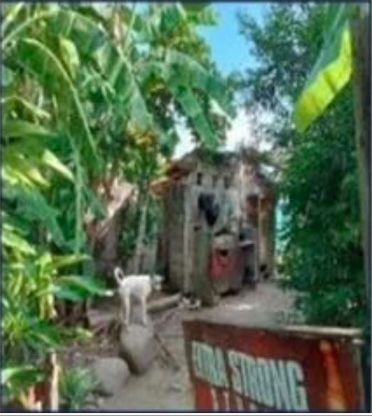 Foreclosed Property for sale in MONSERATT SUBD. BRGY. CALLOS STO. ANGEL NORTE, STA CRUZ, LAGUNA - Media Image Asset Panel Sub-No 4