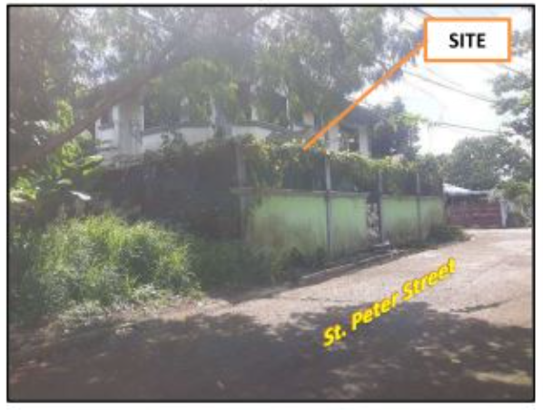 𝐏𝐑𝐎𝐏𝐄𝐑𝐓𝐘 𝐅𝐎𝐑 𝐒𝐀𝐋𝐄 𝐢𝐧 Carmela Valley Executive Village Talisay City, Negros Occidental - Media Image Asset Panel Sub-No 2