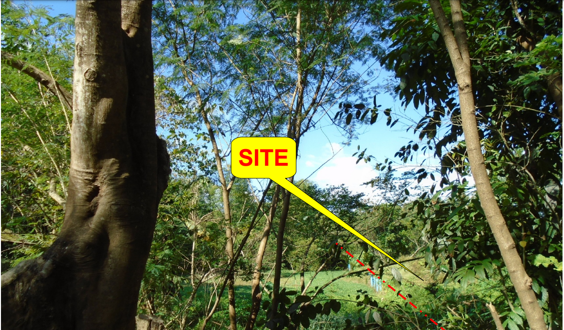 PROPERTY FOR SALE IN  Brgy. San Pedro, Gen. Tinio, Nueva Ecija - Media Image Asset Panel Sub-No 5