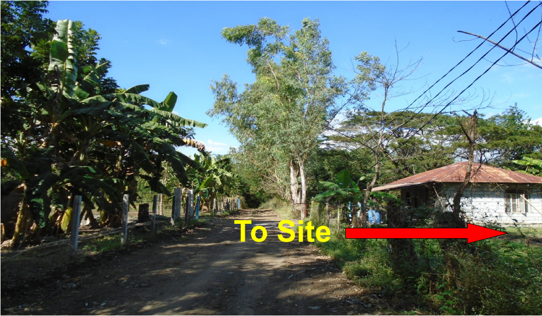 PROPERTY FOR SALE IN  Brgy. San Pedro, Gen. Tinio, Nueva Ecija - Media Image Asset Panel Sub-No 7