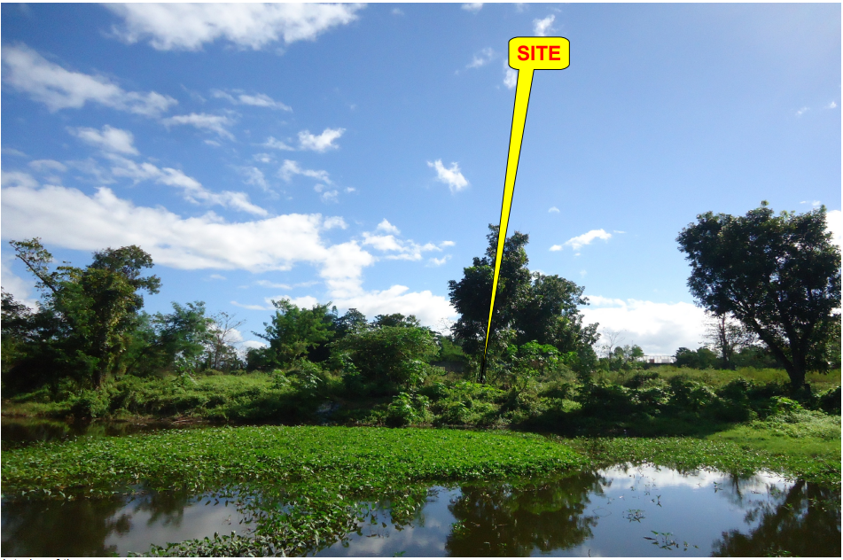 PROPERTY FOR SALE IN  Brgy. San Pedro, Gen. Tinio, Nueva Ecija - Media Image Asset Panel Sub-No 9