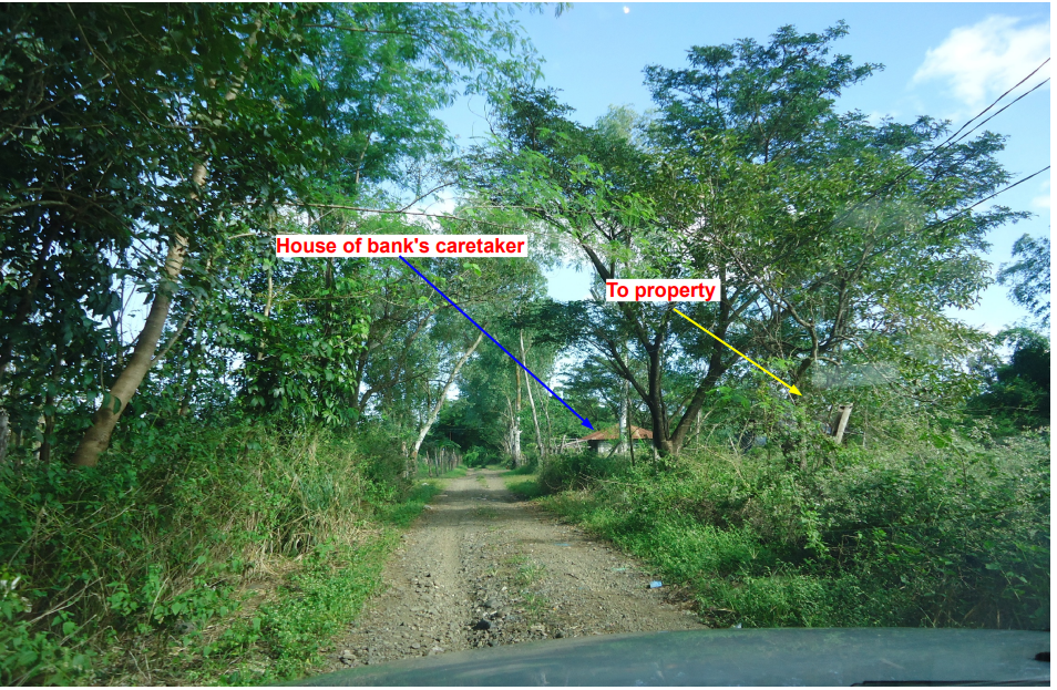 PROPERTY FOR SALE IN  Brgy. San Pedro, Gen. Tinio, Nueva Ecija - Media Image Asset Panel Sub-No 10