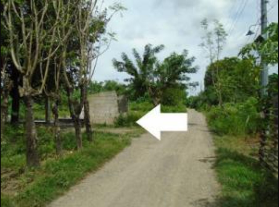 PROPERTY FOR SALE IN  Brgy. Cawayan Bugtong, Guimba, Nueva Ecija - Media Image Asset Panel Sub-No 2