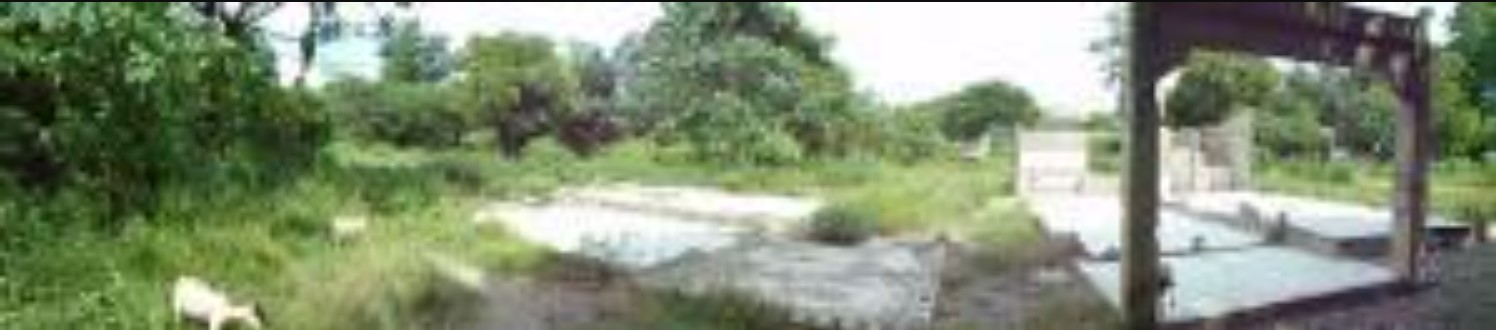 PROPERTY FOR SALE IN  Brgy. Cawayan Bugtong, Guimba, Nueva Ecija - Media Image Asset Panel Sub-No 3