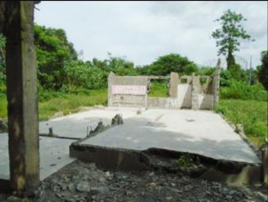 PROPERTY FOR SALE IN  Brgy. Cawayan Bugtong, Guimba, Nueva Ecija - Media Image Asset Panel Sub-No 4