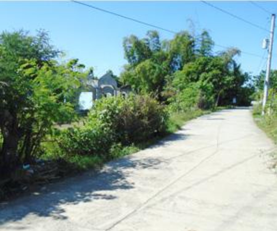 PROPERTY FOR SALE IN  Brgy. Pinanggaan, Jaen, Nueva Ecija - Media Image Asset Panel Sub-No 2