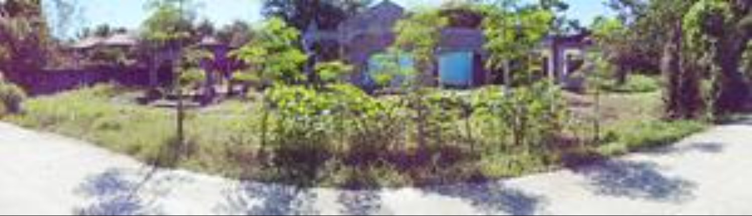 PROPERTY FOR SALE IN  Brgy. Pinanggaan, Jaen, Nueva Ecija - Media Image Asset Panel Sub-No 3