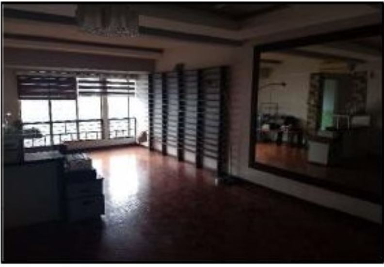 PROPERTY FOR SALE IN  City & Land Mega Plaza Brgy. San Antonio, Pasig City - Media Image Asset Panel Sub-No 10