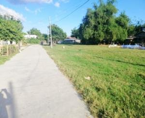 PROPERTY FOR SALE IN  Sta. Cruz, Concepcion, Tarlac - Media Image Asset Panel Sub-No 2