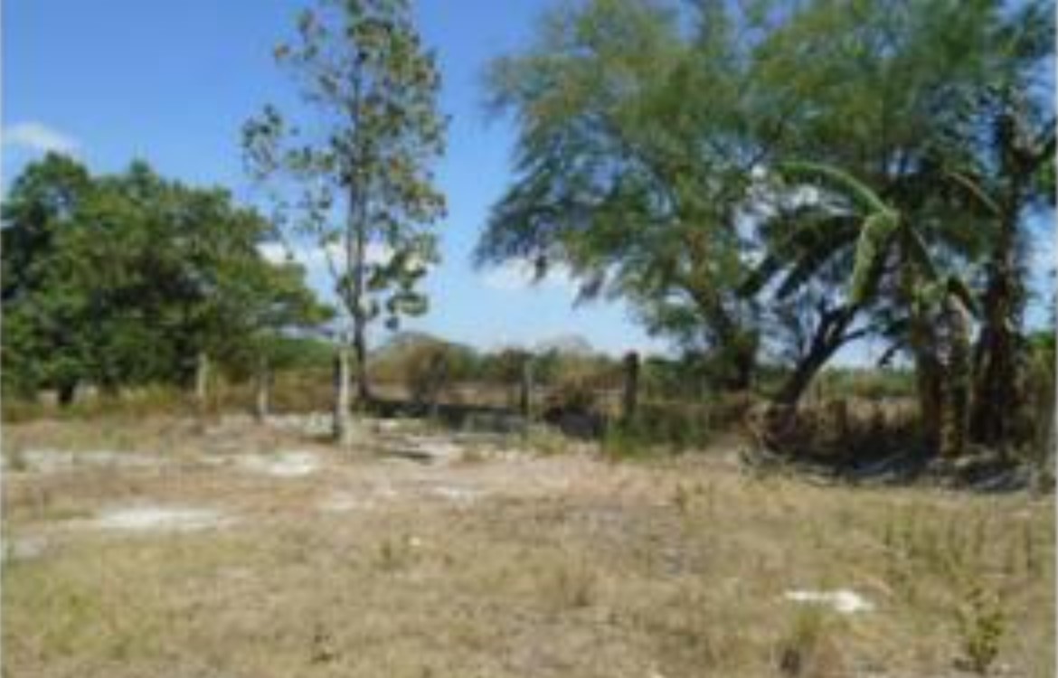 PROPERTY FOR SALE IN  Brgy. Mabini (Sulipa & Calayaan), Gerona, Tarlac - Media Image Asset Panel Sub-No 3