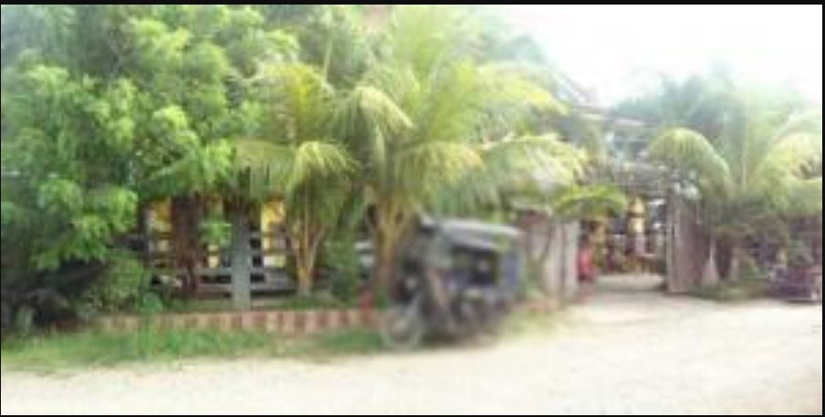  PROPERTY FOR SALE IN  Brgy. Macanaya, Aparri, Cagayan - Media Image Asset Panel Sub-No 3