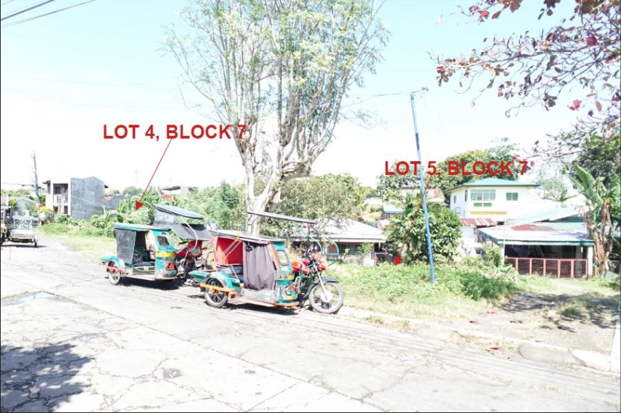 PROPERTY FOR SALE IN  St. Lourdes Subd., Lucena City, Quezon - Media Image Asset Panel Sub-No 3