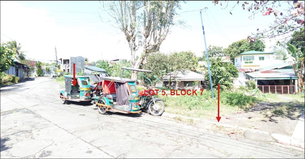 PROPERTY FOR SALE IN  St. Lourdes Subd., Lucena City, Quezon - Media Image Asset Panel Sub-No 4
