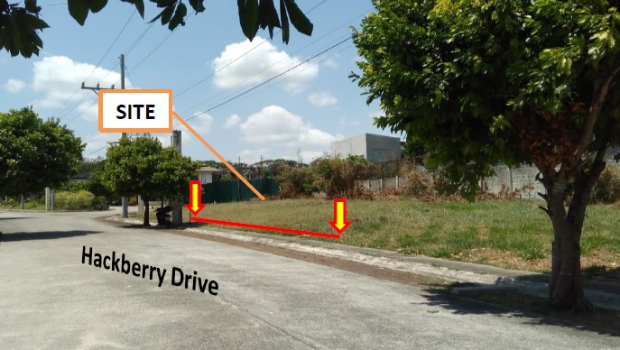 PROPERTY FOR SALE IN  Solen Residences, Phase 1, Santa Rosa City, Laguna - Media Image Asset Panel Sub-No 2