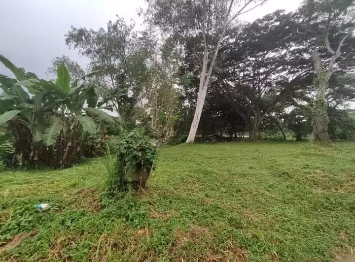 PROPERTY FOR SALE IN  Promenade Subd. Sta. Rosa, Laguna - Media Image Asset Panel Sub-No 3