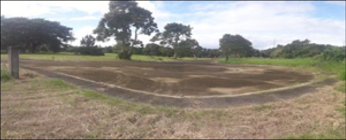 PROPERTY FOR SALE IN  Promenade Subd., Sta. Rosa, Laguna - Media Image Asset Panel Sub-No 4