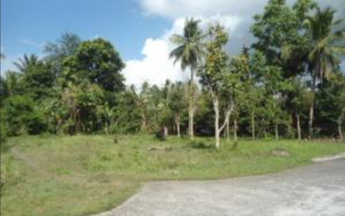 PROPERTY FOR SALE IN  Tropical Park Subdivision, San Pablo City, Laguna - Media Image Asset Panel Sub-No 3