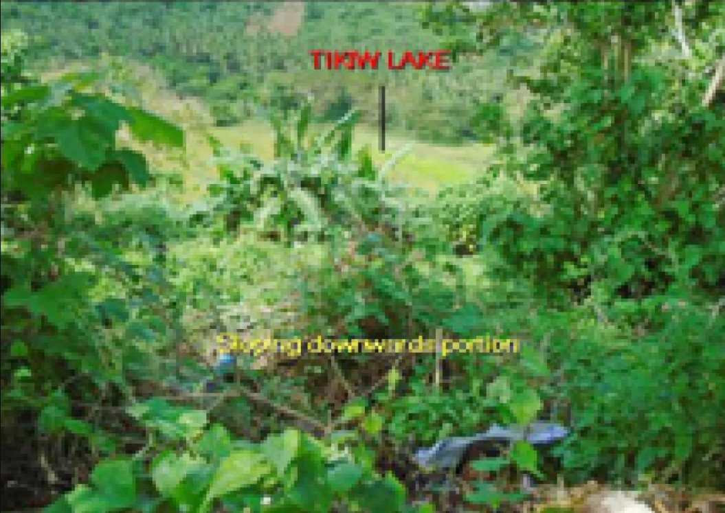 PROPERTY FOR SALE IN  Brgy. San Marcos (Tikiw), San Pablo City, Laguna - Primary Display View Frame Location in San Pablo City, Laguna