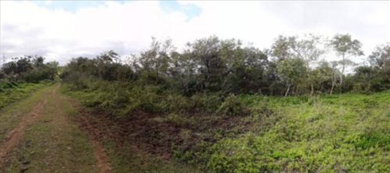 PROPERTY FOR SALE IN  Brgy. Sto. Angel Lumban,Laguna - Media Image Asset Panel Sub-No 2