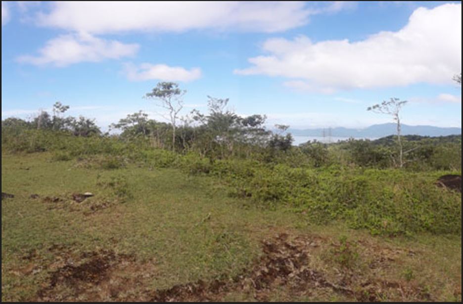 PROPERTY FOR SALE IN  Brgy. Sto. Angel Lumban,Laguna - Media Image Asset Panel Sub-No 3