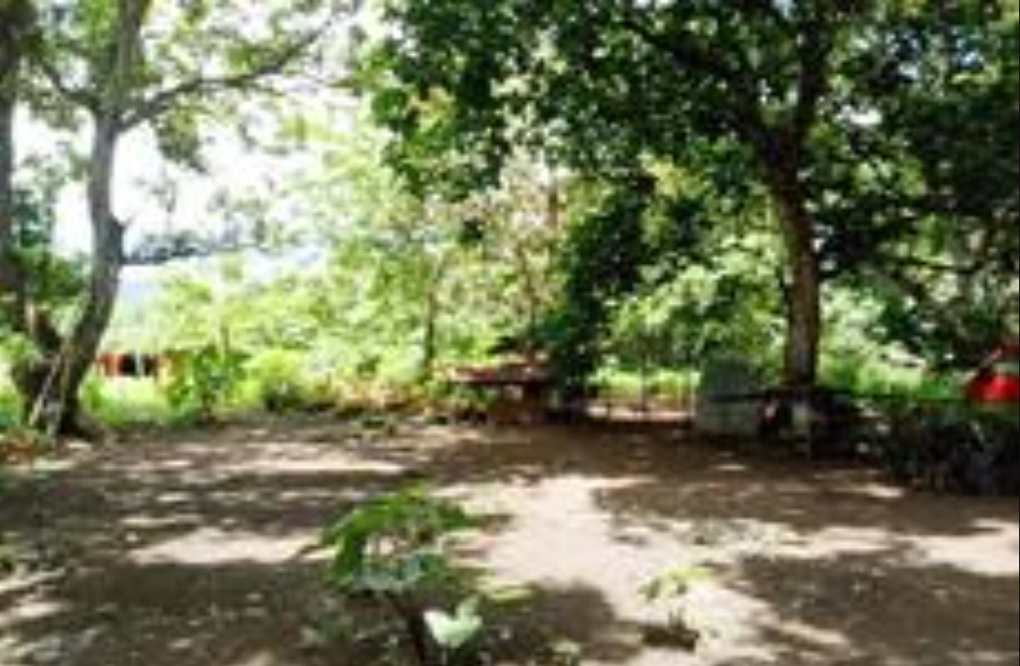 Foreclosed Residential Lot Only For Sale in Los Baños, Laguna (25,824 sqm Lot Area) - Media Image Asset Panel Sub-No 3
