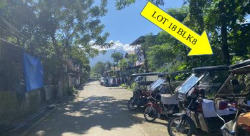 Foreclosed  Lot Only For Sale in Calamba City, Laguna (275 sqm Lot Area) - Media Image Asset Panel Sub-No 2