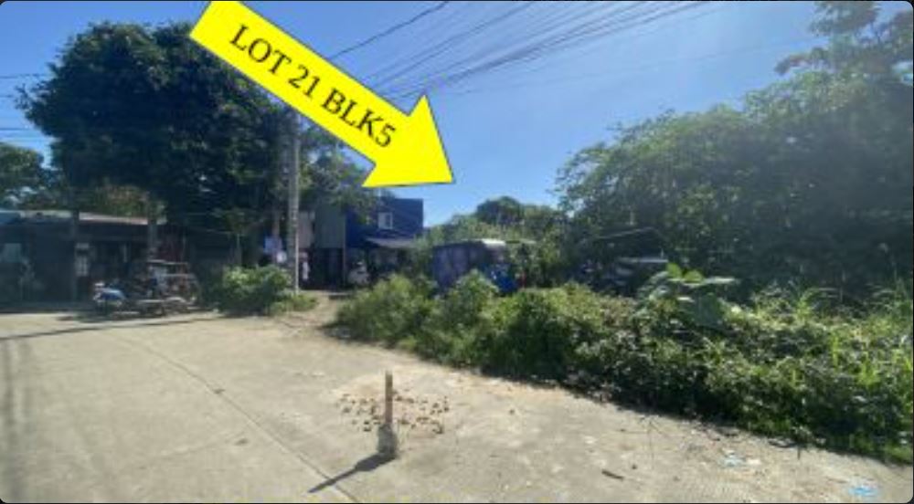 Foreclosed  Lot Only For Sale in Calamba City, Laguna (303 sqm Lot Area) - Media Image Asset Panel Sub-No 2