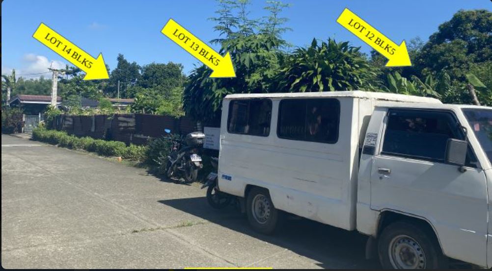 Foreclosed  Lot Only For Sale in Calamba City, Laguna (276 sqm Lot Area) - Media Image Asset Panel Sub-No 2