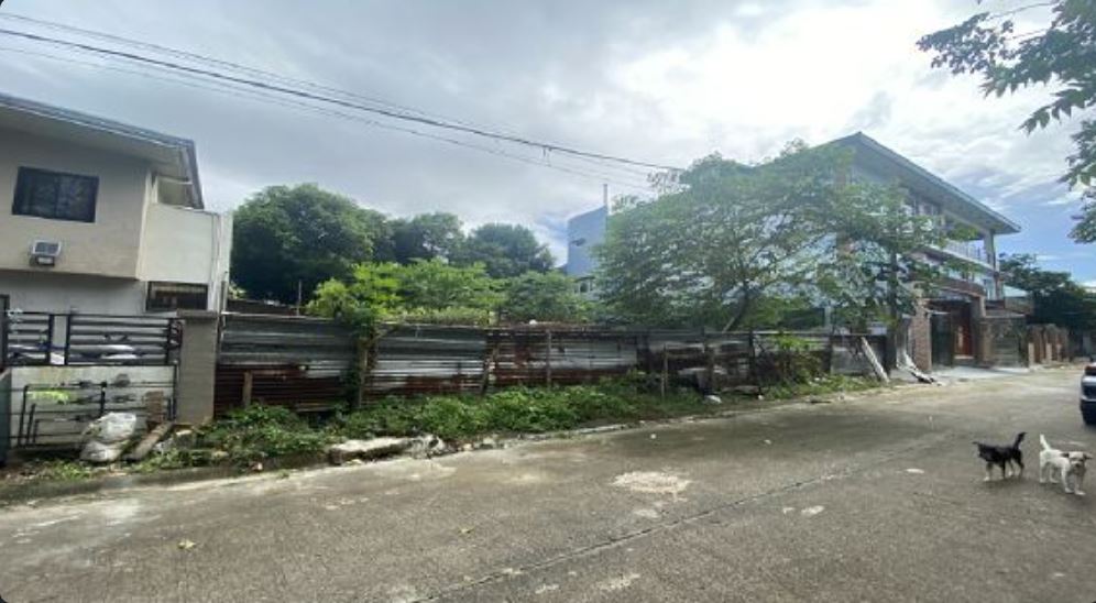 Foreclosed  Lot Only For Sale in Calamba City, Laguna (213 sqm Lot Area) - Media Image Asset Panel Sub-No 2