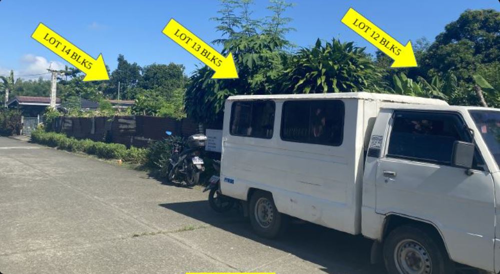 Foreclosed Residential Lot Only For Sale in Calamba City, Laguna (250 sqm Lot Area) - Media Image Asset Panel Sub-No 2