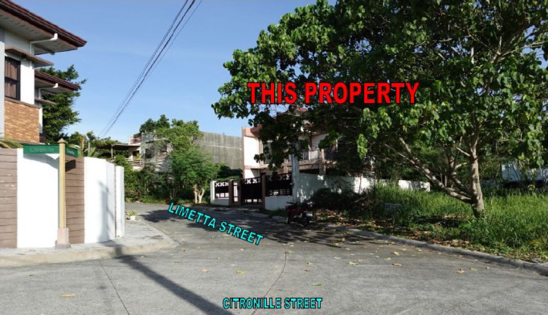 Foreclosed Residential House & Lot For Sale in Davao City, Davao Del Sur (178 sqm Lot Area) - Media Image Asset Panel Sub-No 2