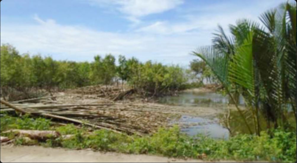 Foreclosed Residential Lot Only For Sale in Pilar, Capiz (10,959 sqm Lot Area) - Media Image Asset Panel Sub-No 2