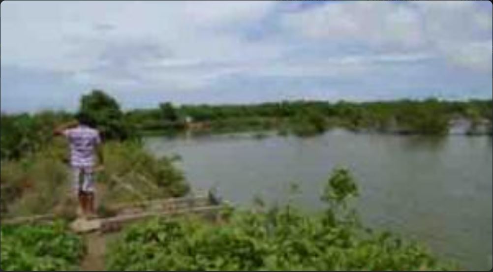 Foreclosed Residential Lot Only For Sale in Pilar, Capiz (92,143 sqm Lot Area) - Media Image Asset Panel Sub-No 2