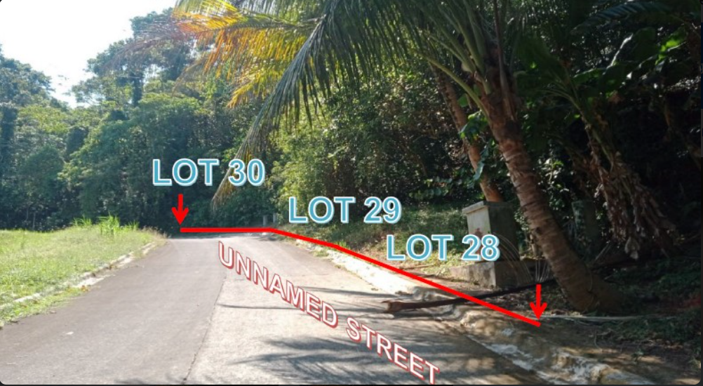 Foreclosed Residential Lot Only For Sale in Laurel, Batangas (420 sqm Lot Area) - Media Image Asset Panel Sub-No 2