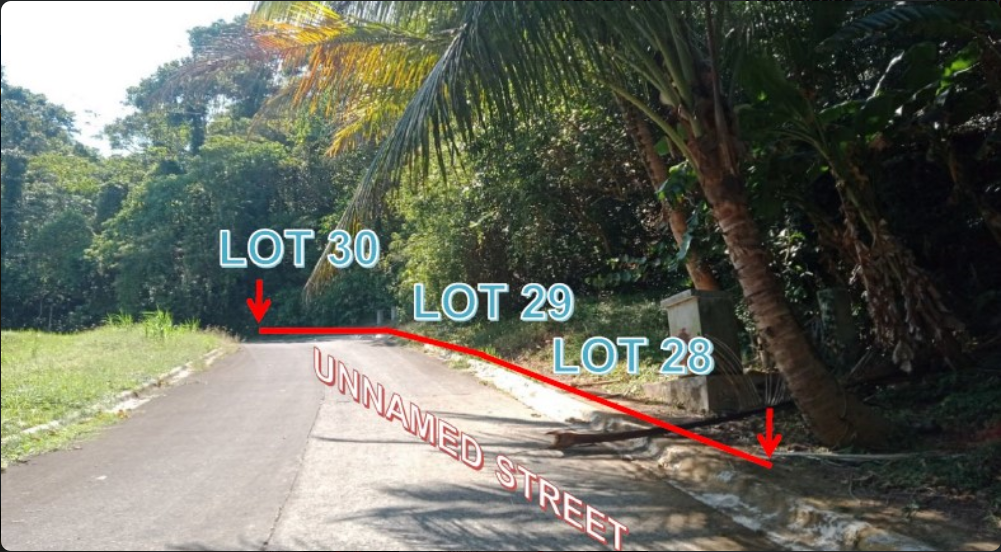 Foreclosed Residential Lot Only For Sale in Laurel, Batangas (465 sqm Lot Area) - Media Image Asset Panel Sub-No 2