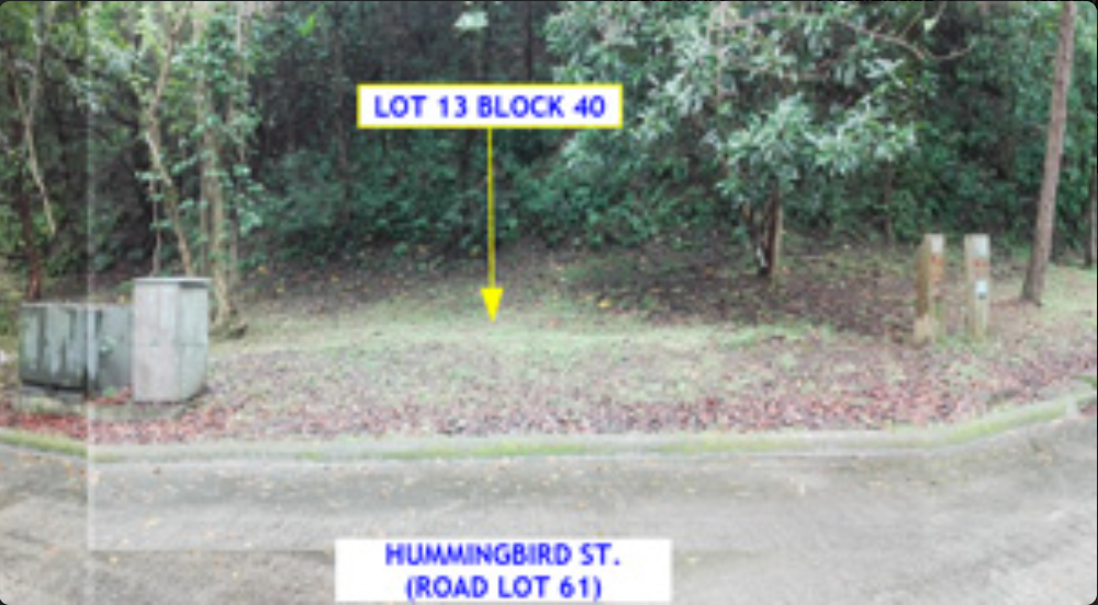 Foreclosed Residential Lot Only For Sale in Laurel, Batangas (397 sqm Lot Area) - Media Image Asset Panel Sub-No 3