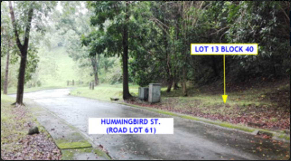 Foreclosed Residential Lot Only For Sale in Laurel, Batangas (397 sqm Lot Area) - Media Image Asset Panel Sub-No 4