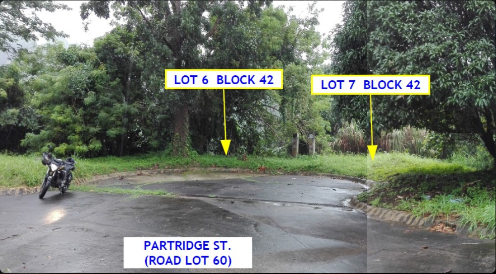 Foreclosed Residential Lot Only For Sale in Laurel, Batangas (410 sqm Lot Area) - Media Image Asset Panel Sub-No 2