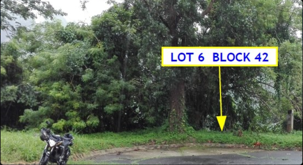 Foreclosed Residential Lot Only For Sale in Laurel, Batangas (410 sqm Lot Area) - Media Image Asset Panel Sub-No 3