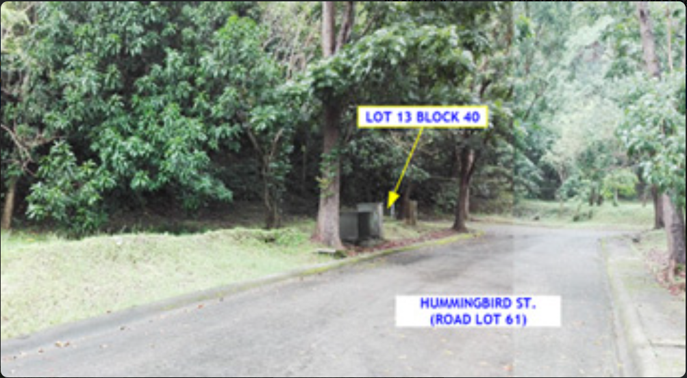 Foreclosed Residential Lot Only For Sale in Laurel, Batangas (397 sqm Lot Area) - Media Image Asset Panel Sub-No 2