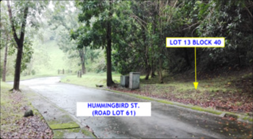 Foreclosed Residential Lot Only For Sale in Laurel, Batangas (397 sqm Lot Area) - Media Image Asset Panel Sub-No 4