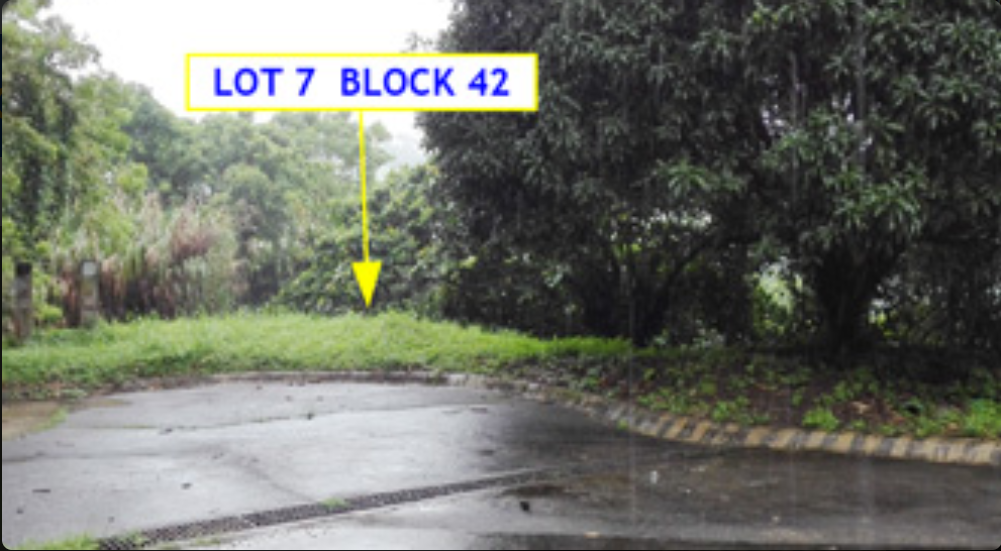 Foreclosed Residential Lot Only For Sale in Laurel, Batangas (594 sqm Lot Area) - Media Image Asset Panel Sub-No 2