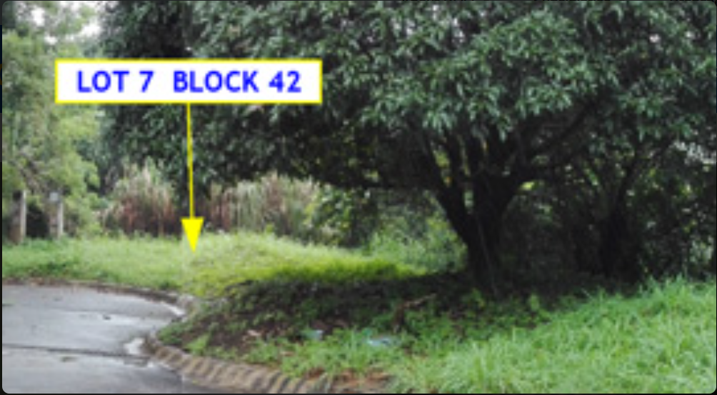 Foreclosed Residential Lot Only For Sale in Laurel, Batangas (594 sqm Lot Area) - Media Image Asset Panel Sub-No 3