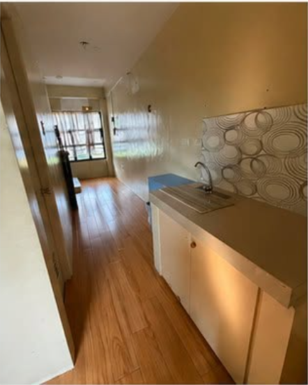 Foreclosed Residential House & Lot For Sale in Las Pinas, Metro Manila (242 sqm Lot Area) - Media Image Asset Panel Sub-No 3