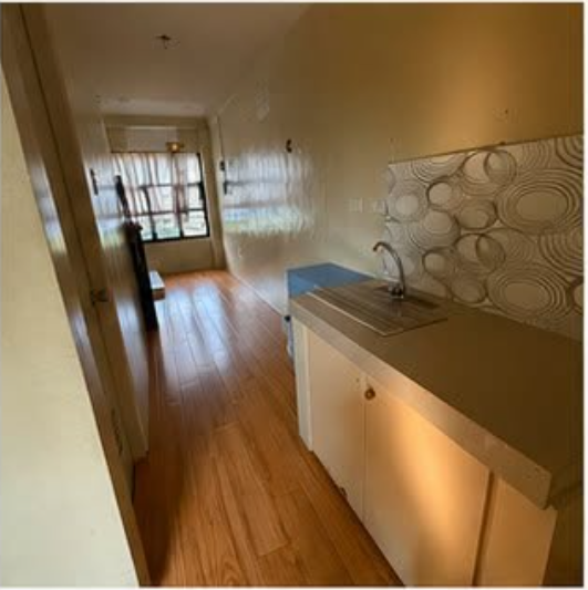 Foreclosed Residential House & Lot For Sale in Las Pinas, Metro Manila (242 sqm Lot Area) - Media Image Asset Panel Sub-No 6